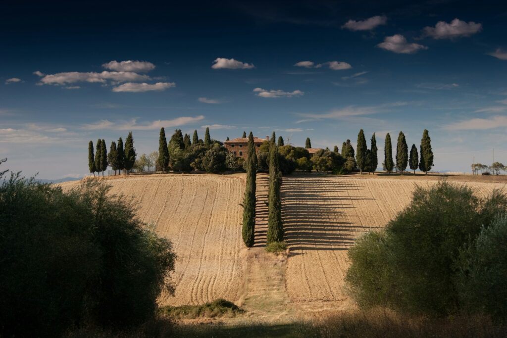 best vineyards in tuscany