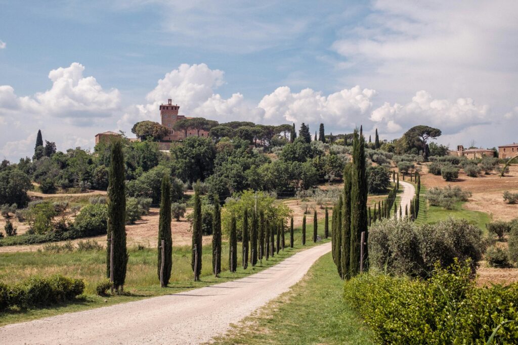 best vineyards in tuscany